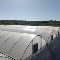 Diseño-e-instalación-de-estructuras-agrícolas