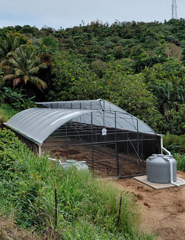 Invernadero-Las-Piedras-01