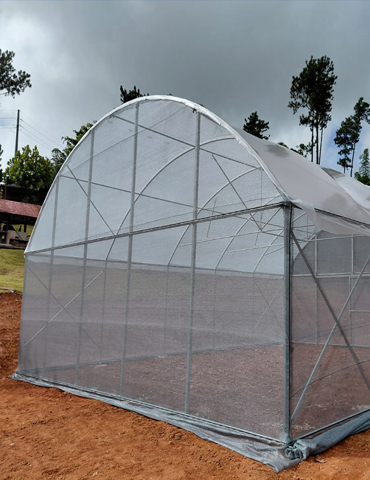 Invernadero-Orocovis-01