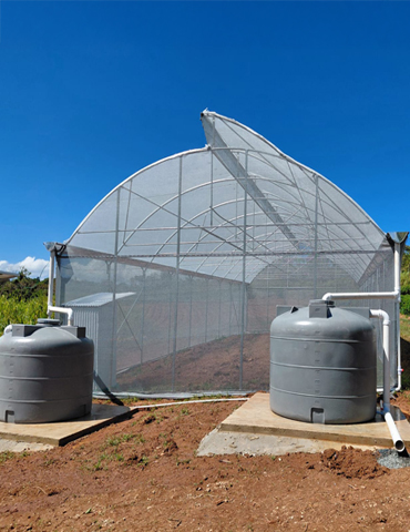 Invernadero-San-Sebastian-01