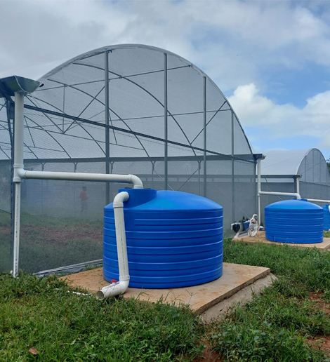 Invernaderos-a-la-medida