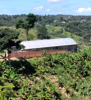 Invernaderos-de-Calidad
