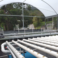 Sistemas-hidropónicos