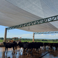 estructuras-agricolas