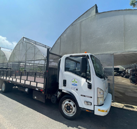 nosotros-san-pablo-01