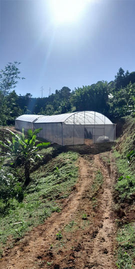 nosotros-san-pablo-03