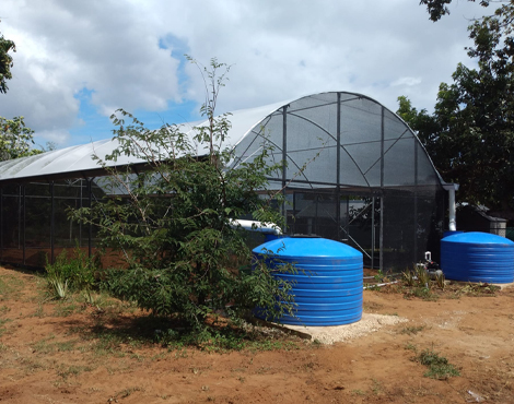 servicios-invernaderos